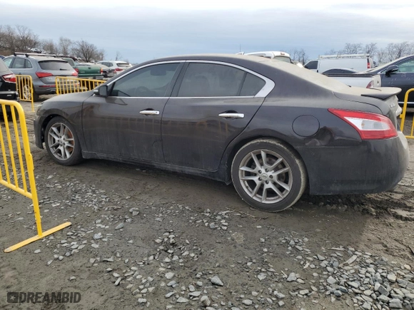 2011 Nissan Maxima 3.5 S with VIN 1N4AA5AP9BC817307, listed as a Copart auction lot 42969855 with 132,875 mi miles and Salvage Title. Bid and sale history available at carsss.com. Image 2.