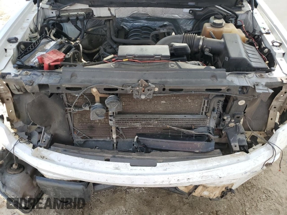 2013 Ford F-150 XL with VIN 1FTMF1EF1DFA51044, listed as a Copart auction lot 79561474 with 191,122 mi miles and Salvage Title. Bid and sale history available at DreamBid. Image 11.