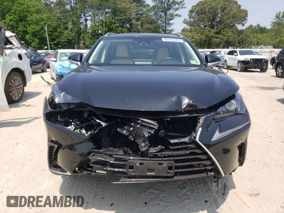 2019 Lexus NX 300h with VIN JTJBJRBZ3K2104833, listed as a Copart auction lot 60266395 with 109,030 mi miles and Salvage title. Bid and sale history available at DreamBid. Image 5.