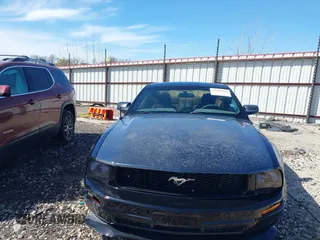 2007 Ford Mustang Deluxe with VIN 1ZVFT80N075253857, listed as a IAAI auction lot 41809040 with Not Provided miles. Bid and sale history available at carsss.com. Image 12.