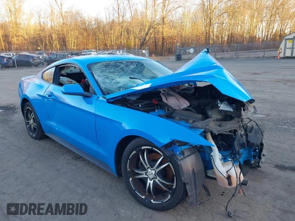 2017 Ford Mustang V6 with VIN 1FA6P8AM5H5272540, listed as a IAAI auction lot 41101738 with Not Provided miles and . Bid and sale history available at carsss.com. Image 1.