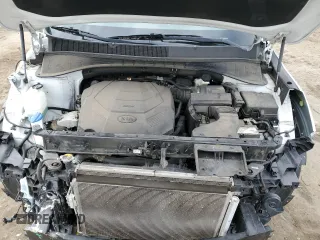 2019 Kia Sorento SX Limited with VIN 5XYPKDA55KG534456, listed as a Copart auction lot 46461045 with 65,259 mi miles and Salvage Title. Bid and sale history available at carsss.com. Image 12.