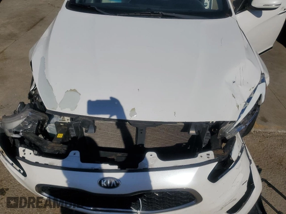 2014 Kia Cadenza Limited with VIN KNALN4D78E5141385, listed as a Copart auction lot 49593545 with 112,991 mi miles and Salvage Title. Bid and sale history available at carsss.com. Image 13.