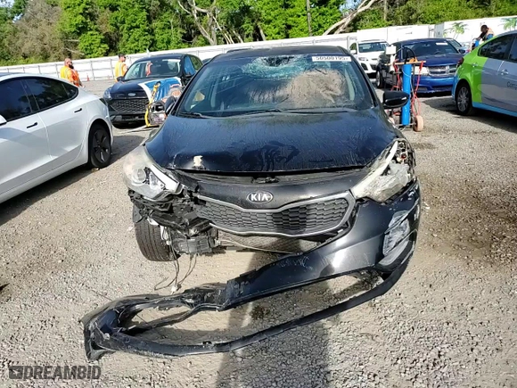 2014 Kia Forte LX with VIN KNAFK4A61E5190333, listed as a Copart auction lot 50500195 with 176,912 mi miles and Salvage Title. Bid and sale history available at carsss.com. Image 11.