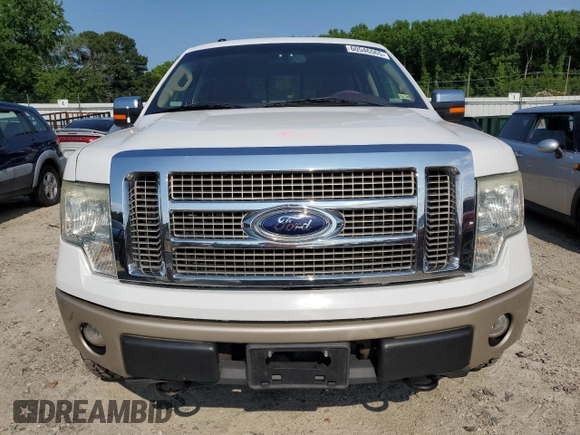 2009 Ford F-150 XL with VIN 1FTPW14V99KB33415, listed as a Copart auction lot 60546565 with 96,602 mi miles and Salvage title. Bid and sale history available at DreamBid. Image 5.