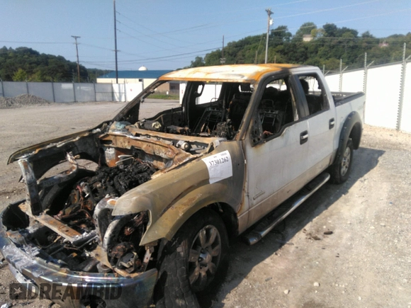2012 Ford F-150 XL with VIN 1FTFW1ET9CKE30989, listed as a IAAI auction lot 37301262 with 257,439 mi miles and . Bid and sale history available at DreamBid. Image 6.