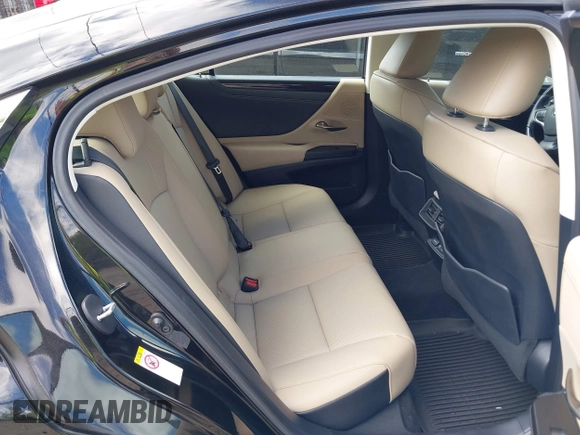 2019 Lexus ES 350 with VIN 58ABZ1B16KU042893, listed as a IAAI auction lot 42288578 with 13,765 mi miles and . Bid and sale history available at DreamBid. Image 8.