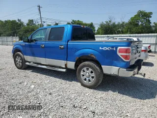 2009 Ford F-150 XL z VIN 1FTPW14V39FA64116, wystawiony jako Copart lot #59893095 z przebiegiem 215 382 mil mil oraz Szkoda całkowita • Salvage title. Historia ofert i sprzedaży dostępna na DreamBid. Obrazek 2.