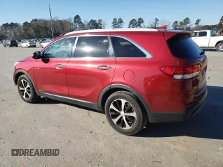 2017 Kia Sorento EX with VIN 5XYPHDA15HG276783, listed as a Copart auction lot 87602165 with 127,135 mi miles and Salvage Title. Bid and sale history available at carsss.com. Image 2.