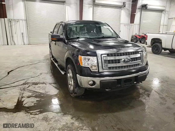 2013 Ford F-150 XL with VIN 1FTFW1EF8DFC57681, listed as a Copart auction lot 46638045 with 179,475 mi miles and Clean Title. Bid and sale history available at carsss.com. Image 11.