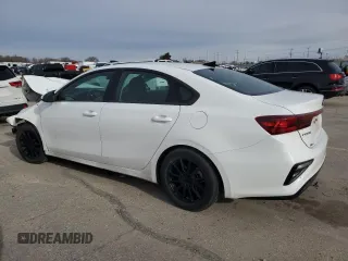 2020 Kia Forte LXS with VIN 3KPF24AD3LE179773, listed as a Copart auction lot 44082085 with 0 mi miles and Salvage Title. Bid and sale history available at carsss.com. Image 2.