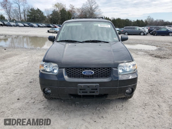 2006 Ford Escape Limited with VIN 1FMCU04196KA18798, listed as a Copart auction lot 50420725 with 113,425 mi miles and Clean title. Bid and sale history available at DreamBid. Image 5.