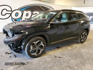 2024 Hyundai Tucson Limited with VIN 5NMJECDEXRH299555, listed as a Copart auction lot 50305005 with 48,861 mi miles and Salvage Title. Bid and sale history available at carsss.com. Image 1.
