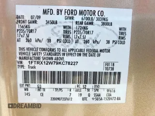 2009 Ford F-150 STX with VIN 1FTRX12W79KC78227, listed as a Copart auction lot 62272975 with 189,516 mi miles and Salvage title. Bid and sale history available at DreamBid. Image 13.