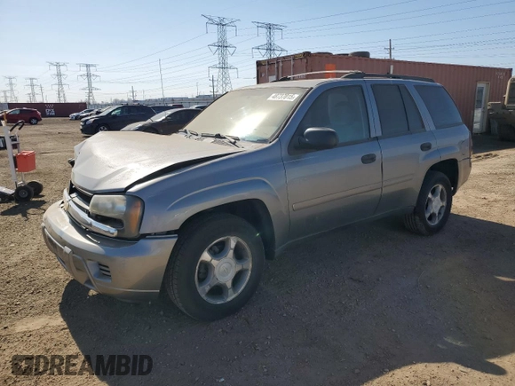 2007 Chevrolet TrailBlazer LS with VIN 1GNDT13S672294232, listed as a Copart auction lot 48737015 with 136,610 mi miles and Salvage Title. Bid and sale history available at DreamBid. Image 1.