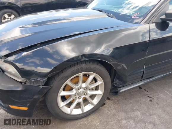 2011 Ford Mustang V6 with VIN 1ZVBP8AM5B5149026, listed as a IAAI auction lot 42551126 with 230,429 mi miles and . Bid and sale history available at DreamBid. Image 6.