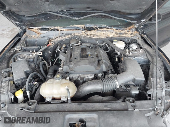 2016 Ford Mustang EcoBoost Premium with VIN 1FATP8UH1G5280330, listed as a IAAI auction lot 42423295 with 79,177 mi miles and . Bid and sale history available at DreamBid. Image 10.
