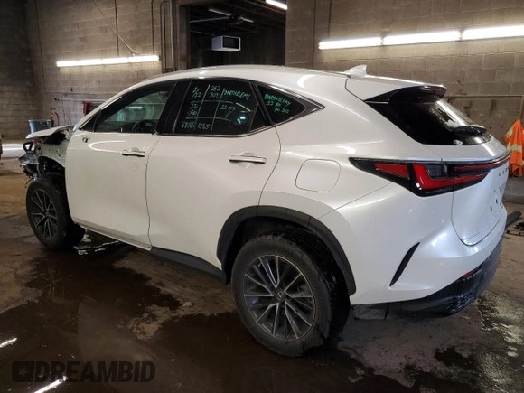 2022 Lexus NX with VIN 2T2ADCEZ5NC001848, listed as a Copart auction lot 45731204 with 48,086 mi miles and Non Repairable. Bid and sale history available at carsss.com. Image 2.