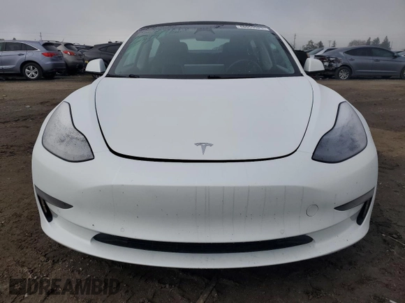 2021 Tesla Model 3 Standard Range Plus with VIN 5YJ3E1EA1MF066389, listed as a Copart auction lot 48053925 with 119,105 mi miles and Salvage Title. Bid and sale history available at carsss.com. Image 5.