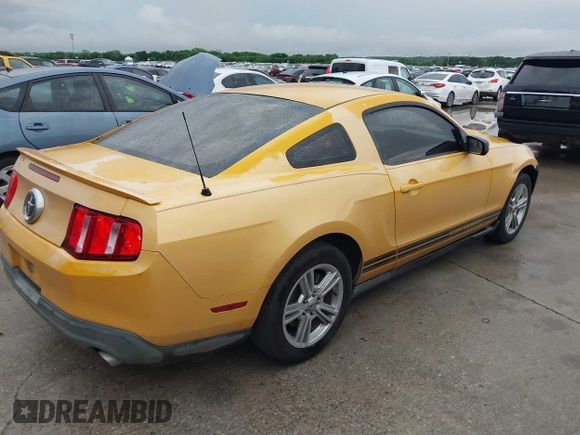 2011 Ford Mustang V6 with VIN 1ZVBP8AM5B5154811, listed as a IAAI auction lot 42161082 with 203,984 mi miles and . Bid and sale history available at carsss.com. Image 4.
