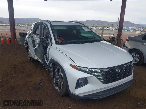 2022 Hyundai Tucson SEL with VIN 5NMJC3AE6NH060475, listed as a IAAI auction lot 41808281 with 94,694 mi miles and . Bid and sale history available at DreamBid. Image 1.