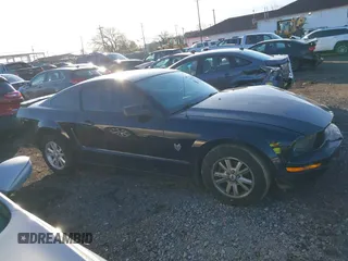 2009 Ford Mustang with VIN 1ZVHT80NX95113701, listed as a IAAI auction lot 42028558 with 100,224 mi miles and . Bid and sale history available at carsss.com. Image 11.