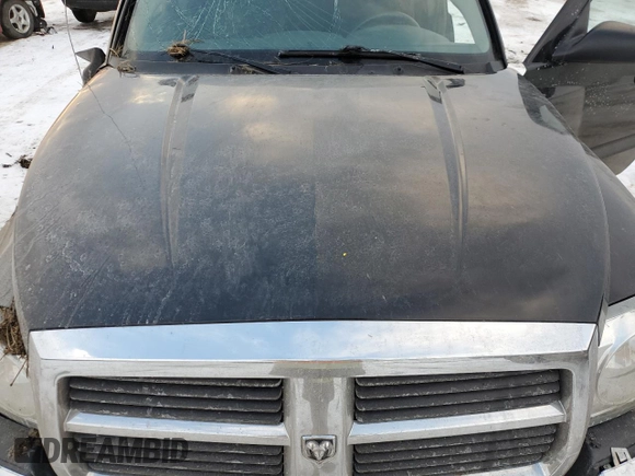 2005 Dodge Dakota SLT with VIN 1D7HE48K65S138533, listed as a Copart auction lot 88745565 with 87,046 mi miles and Clean Title. Bid and sale history available at DreamBid. Image 11.