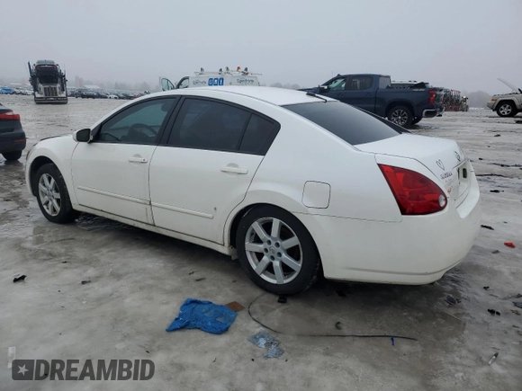 2005 Nissan Maxima 3.5 SL with VIN 1N4BA41E55C858809, listed as a Copart auction lot 43243945 with 0 mi miles and Salvage Title. Bid and sale history available at carsss.com. Image 2.