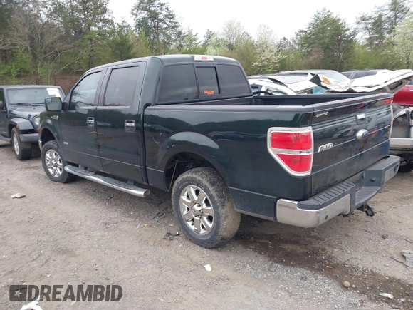 2014 Ford F-150 XL with VIN 1FTFW1CT9EKG41762, listed as a IAAI auction lot 41797534 with 218,089 mi miles. Bid and sale history available at carsss.com. Image 3.