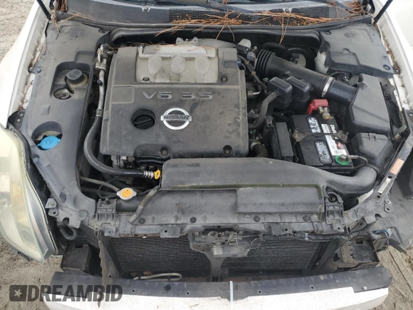 2006 Nissan Maxima 3.5 SL with VIN 1N4BA41E76C836814, listed as a Copart auction lot 73954234 with 188,077 mi miles and Salvage Title. Bid and sale history available at carsss.com. Image 12.