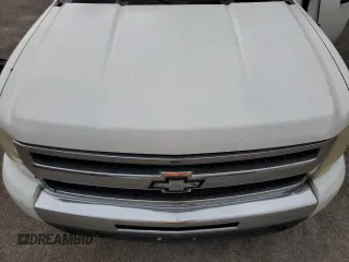 2009 Chevrolet Silverado 1500 LT with VIN 1GCEK29059Z137569, listed as a Copart auction lot 54386425 with 363,955 mi miles and Clean Title. Bid and sale history available at carsss.com. Image 11.