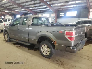 2011 Ford F-150 XL with VIN 1FTEX1EM3BFA36428, listed as a Copart auction lot 46313975 with 135,903 mi miles and Clean Title. Bid and sale history available at carsss.com. Image 2.