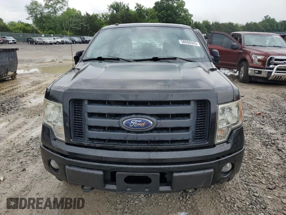 2011 Ford F-150 XL with VIN 1FTFX1EF7BFA99425, listed as a Copart auction lot 58666565 with 177,561 mi miles and Clean title. Bid and sale history available at DreamBid. Image 5.