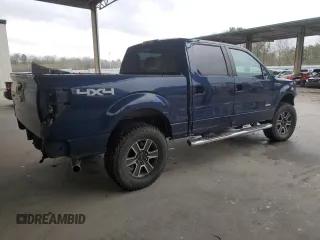 2011 Ford F-150 XLT with VIN 1FTFW1ET2BFB81443, listed as a Copart auction lot 46299165 with 250,287 mi miles and Salvage Title. Bid and sale history available at carsss.com. Image 3.