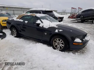 2009 Ford Mustang with VIN 1ZVHT84N395121827, listed as a Copart auction lot 41651645 with 117,203 mi miles and Clean title. Bid and sale history available at DreamBid. Image 4.
