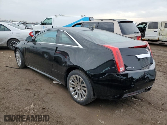 2011 Cadillac CTS Premium with VIN 1G6DS1ED2B0115587, listed as a Copart auction lot 49347475 with Not provided miles and Salvage title. Bid and sale history available at DreamBid. Image 2.