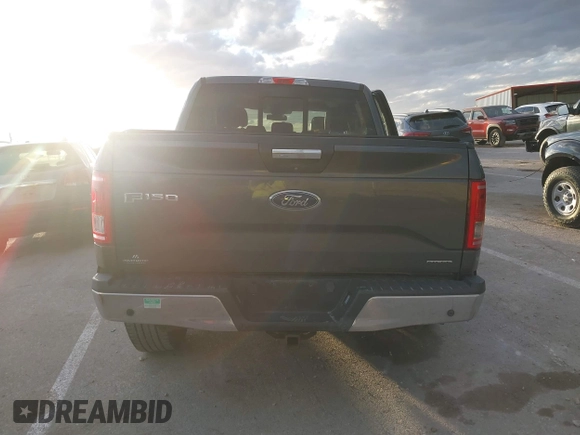 2015 Ford F-150 XLT with VIN 1FTEW1EFXFFA07342, listed as a IAAI auction lot 41748383 with 162,218 mi miles. Bid and sale history available at carsss.com. Image 16.