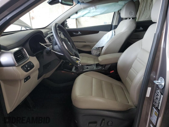 2019 Kia Sorento EX with VIN 5XYPH4A54KG506078, listed as a Copart auction lot 47638125 with 33,485 mi miles and Salvage Title. Bid and sale history available at DreamBid. Image 7.