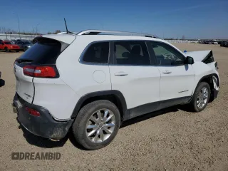 2017 Jeep Cherokee Limited with VIN 1C4PJMDS2HW562845, listed as a Copart auction lot 55486065 with 156,775 mi miles and Salvage Title. Bid and sale history available at carsss.com. Image 3.