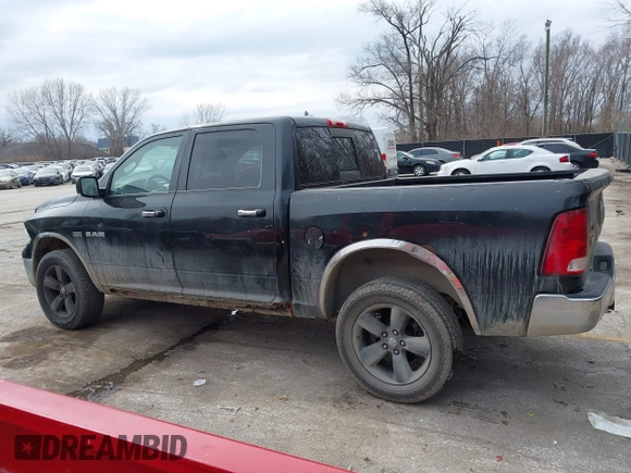 2010 Dodge 1500 SLT z VIN 1D7RV1CT9AS228384, wystawiony jako IAAI lot #41691318 z przebiegiem 214 265 mil mil oraz . Historia ofert i sprzedaży dostępna na DreamBid. Obrazek 14.