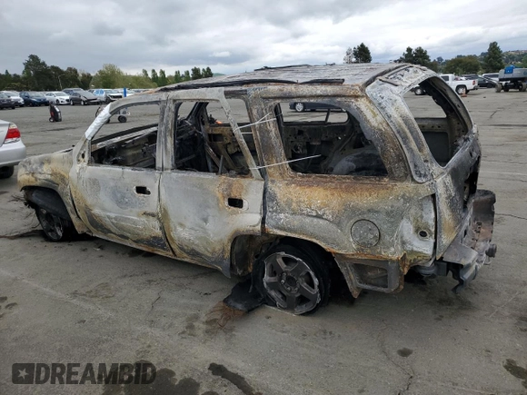 2004 Chevrolet TrailBlazer LT with VIN 1GNDS13S642252321, listed as a Copart auction lot 53674575 with Not Provided miles and Non Repairable. Bid and sale history available at DreamBid. Image 2.