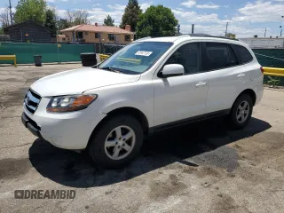 2007 Hyundai Santa Fe GLS with VIN 5NMSG13D87H001206, listed as a Copart auction lot 61947135 with 118,354 mi miles and Salvage title. Bid and sale history available at DreamBid. Image 1.