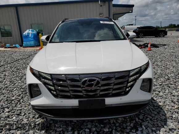 2024 Hyundai Tucson Limited with VIN 5NMJECDE5RH382973, listed as a Copart auction lot 61405635 with 35,692 mi miles and Clean title. Bid and sale history available at DreamBid. Image 5.