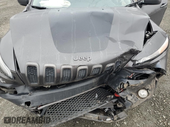 2017 Jeep Cherokee Trailhawk L Plus with VIN 1C4PJMBS2HW651480, listed as a Copart auction lot 47843795 with 96,842 mi miles and Salvage Title. Bid and sale history available at carsss.com. Image 14.