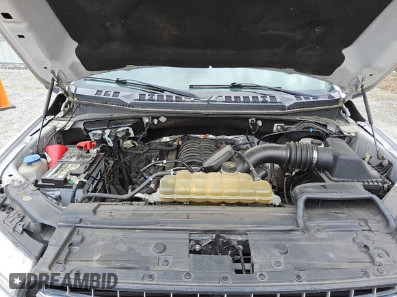 2019 Ford F-150 XL with VIN 1FTEW1E57KFB00501, listed as a Copart auction lot 49469185 with 251,210 mi miles and Clean Title. Bid and sale history available at carsss.com. Image 11.