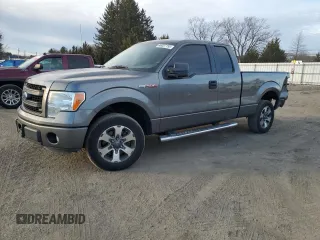 2013 Ford F-150 XL with VIN 1FTFX1CF5DFC03478, listed as a Copart auction lot 46037155 with 164,241 mi miles and Salvage Title. Bid and sale history available at carsss.com. Image 1.