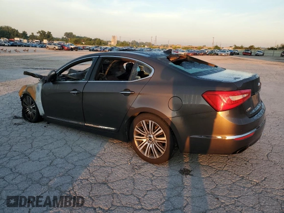 2014 Kia Cadenza Premium with VIN KNALN4D72E5124243, listed as a Copart auction lot 65836794 with 0 mi miles and Non Repairable. Bid and sale history available at carsss.com. Image 2.
