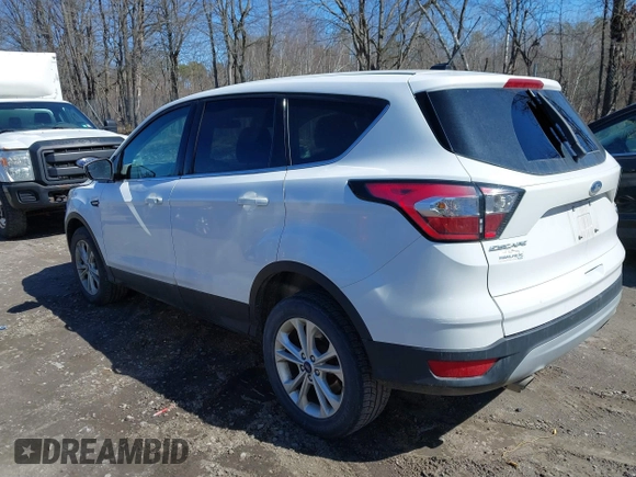 2017 Ford Escape SE with VIN 1FMCU9GD2HUE42101, listed as a IAAI auction lot 41898294 with 101,014 mi miles. Bid and sale history available at carsss.com. Image 3.
