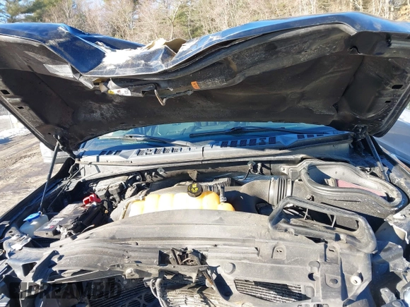 2017 Ford F-150 XL with VIN 1FTEW1EGXHFB14984, listed as a IAAI auction lot 41546709 with 132,132 mi miles. Bid and sale history available at carsss.com. Image 10.