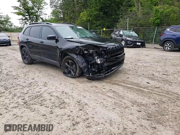 2017 Jeep Cherokee Altitude with VIN 1C4PJMAS8HW632630, listed as a Copart auction lot 59109645 with 67,052 mi miles and Salvage title. Bid and sale history available at DreamBid. Image 14.